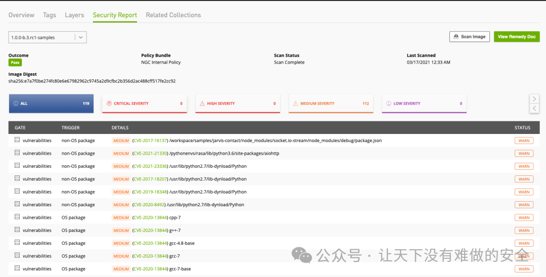 NGC扫描图像的示例结果显示，操作系统软件包中存在两个高危漏洞。